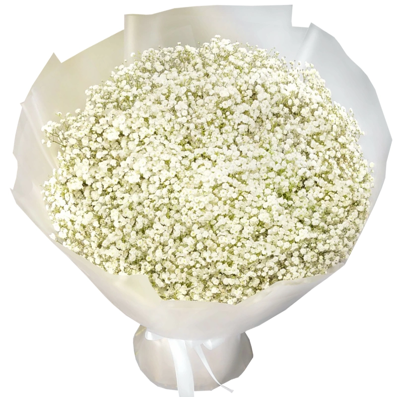 Букет из 101 белой гипсофилы