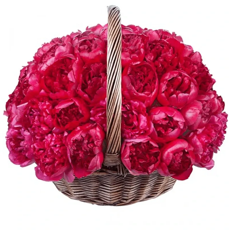 Корзина с цветами Высший свет